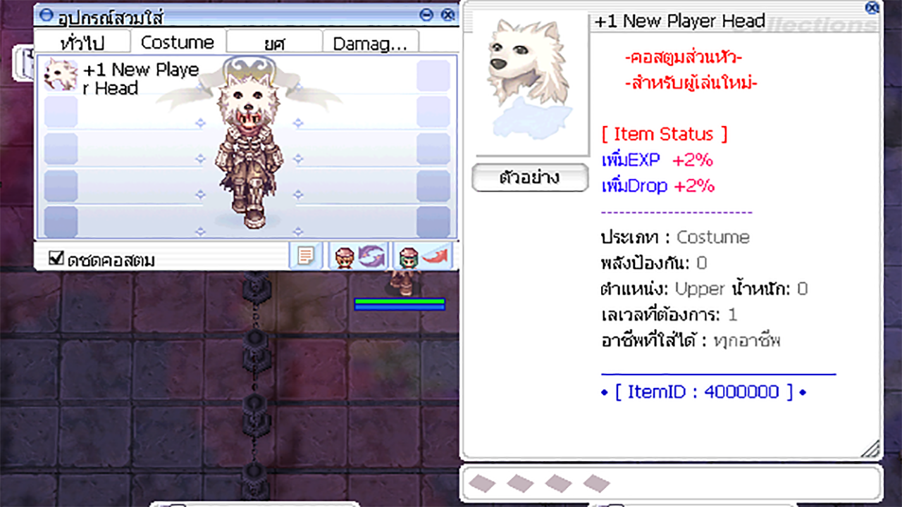 คอสตูมหลังตีบวก - หน้าต่างไอเทม